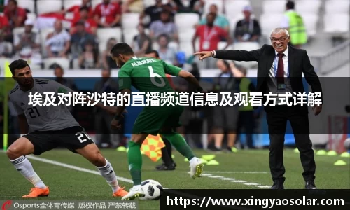 埃及对阵沙特的直播频道信息及观看方式详解